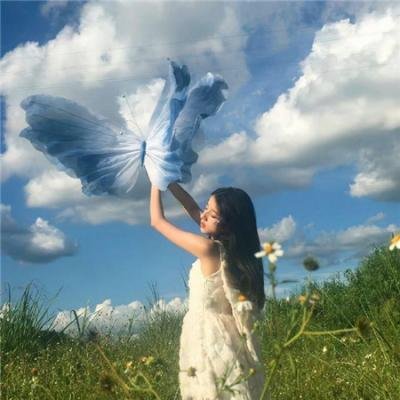 威尼斯的阿历克斯海报