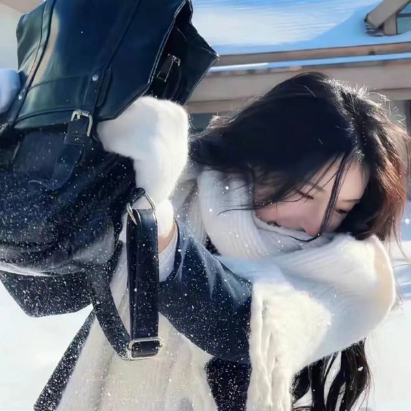 绝望主妇第二季海报
