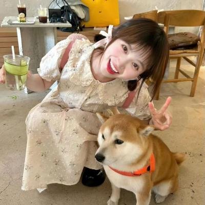 神枪少女第二季海报